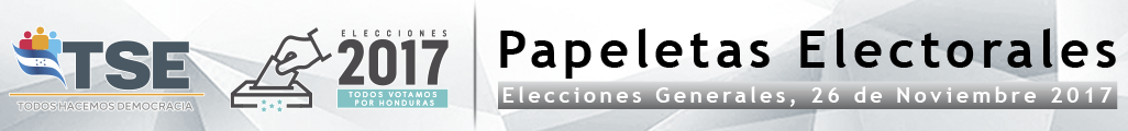 Tribunal Supremo Electoral